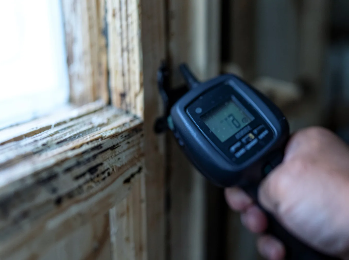 Moisture Inspection And Documentation in Whigham, GA
